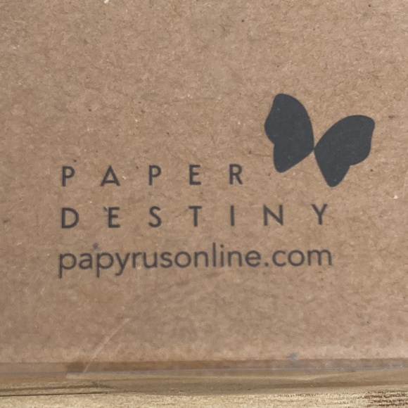 Papyrus glass dome 6 magnets fashion be beautiful New - Picture 12 of 15